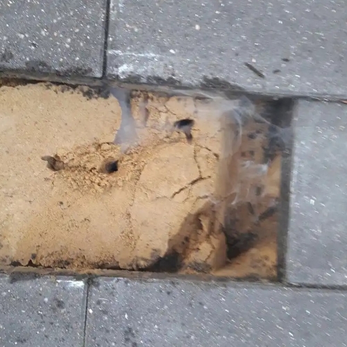 reparation af belægning efter kloakskade